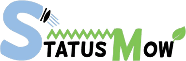 Status Mow LLC