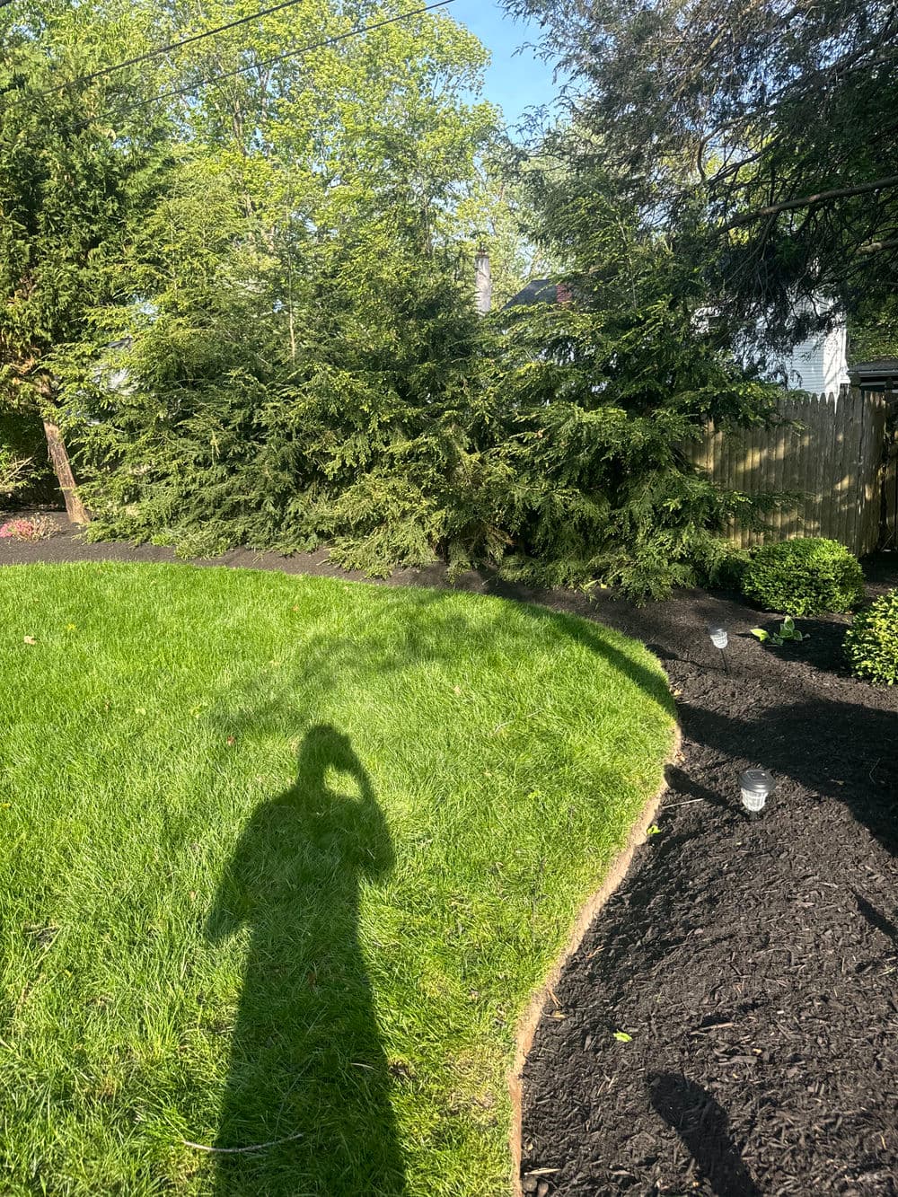 Spring Cleanup Done Right in Ottsville PA