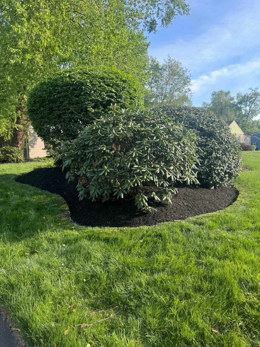 Gallery photos for Spring Cleanup Done Right in Ottsville PA: Image #1