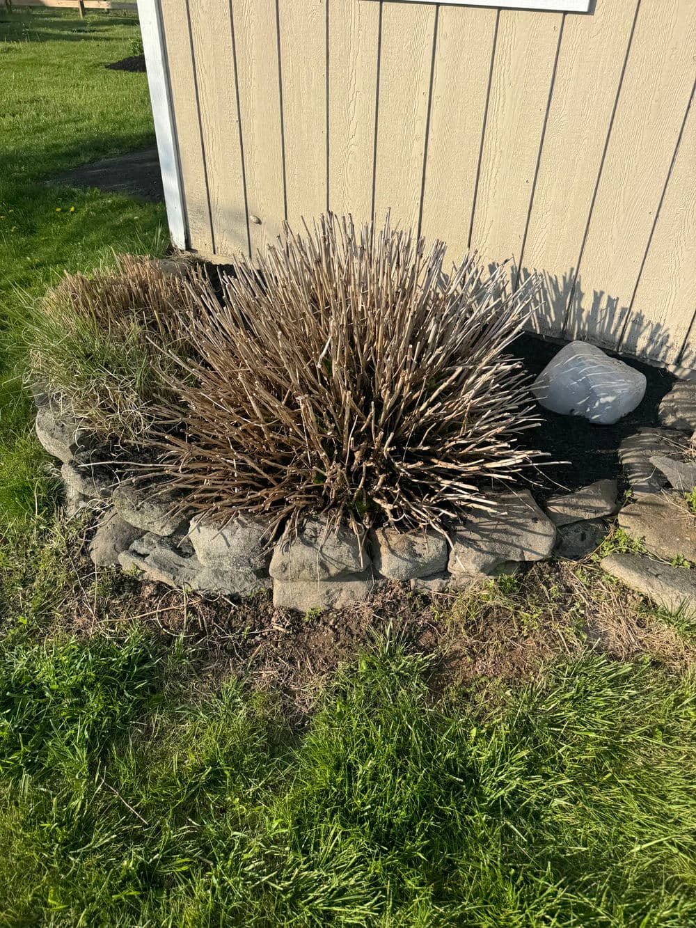Gallery photos for Spring Clean Up Done Right in Ottsville PA: Image #7
