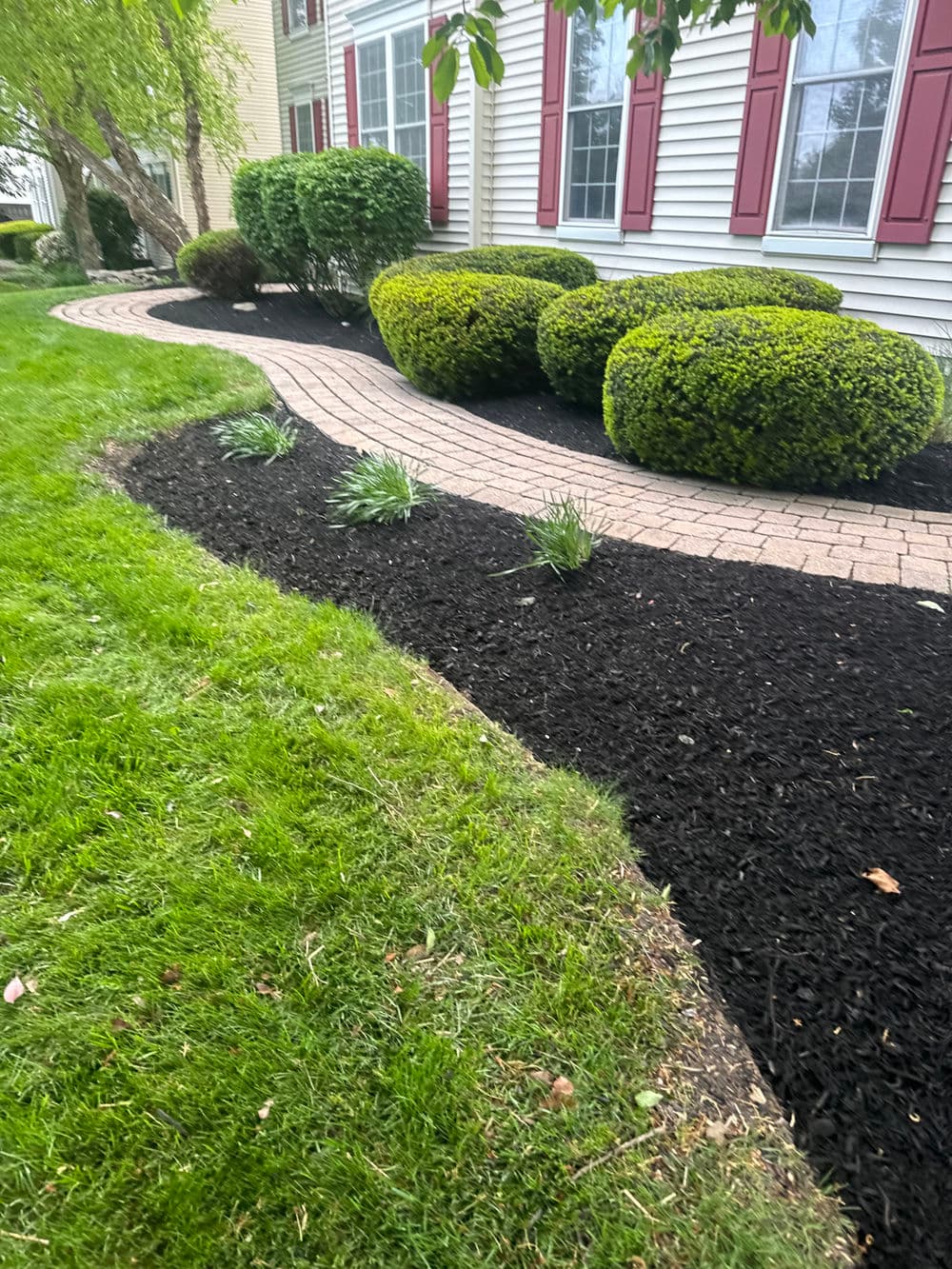 Gallery photos for Full Property Mulching and Bed Cleanup in Doylestown: Image #3