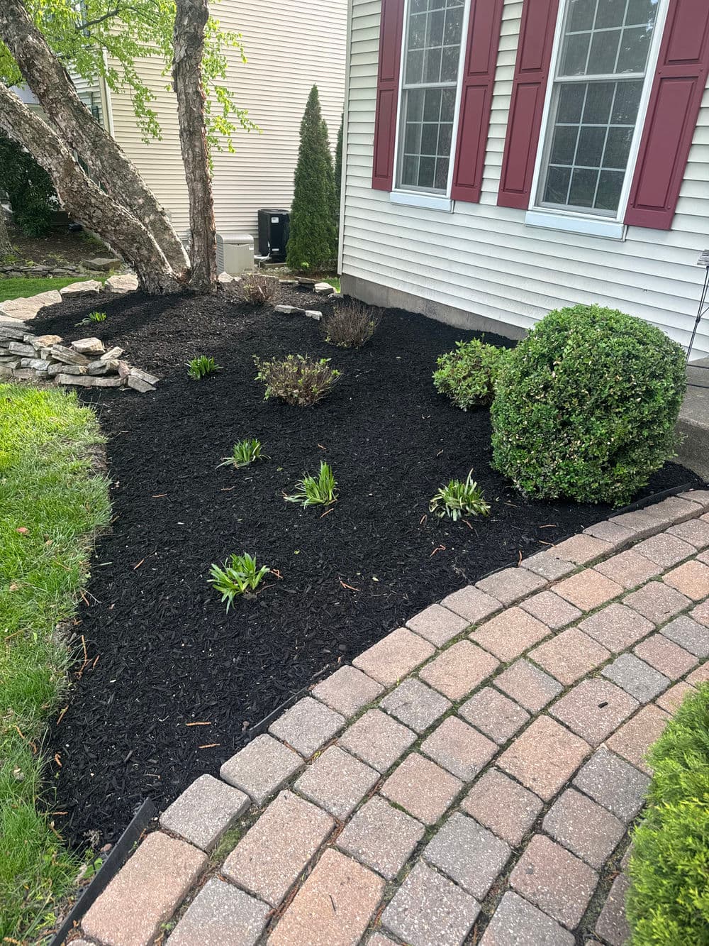 Gallery photos for Full Property Mulching and Bed Cleanup in Doylestown: Image #5
