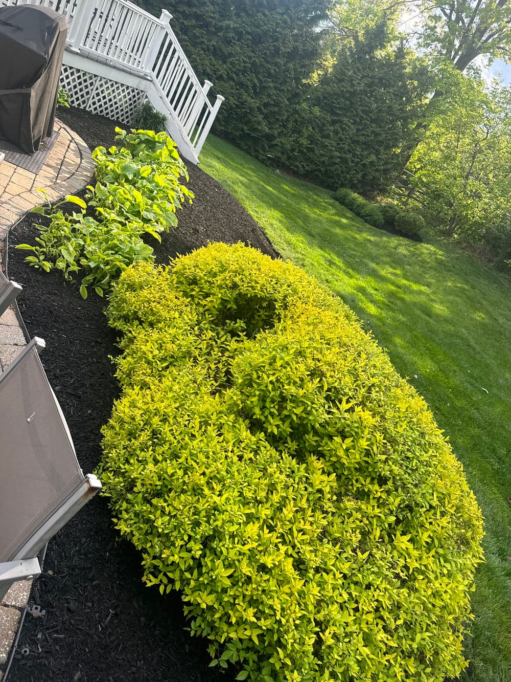 Gallery photos for Full Property Mulching and Bed Cleanup in Doylestown: Image #13