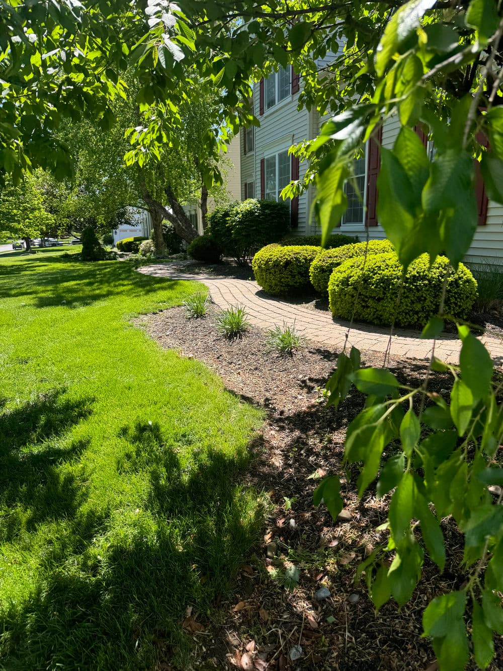 Gallery photos for Full Property Mulching and Bed Cleanup in Doylestown: Image #2