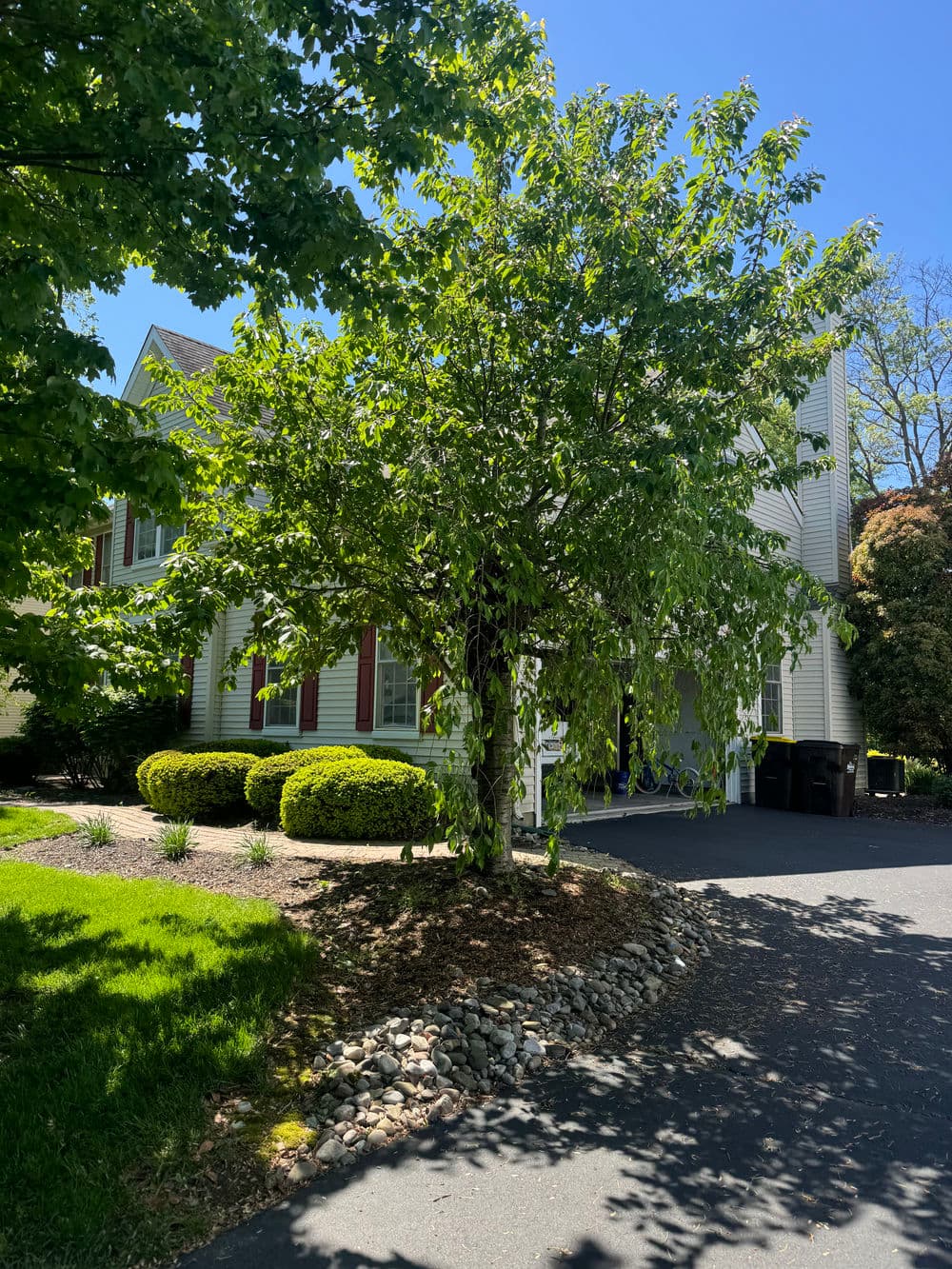 Full Property Mulching and Bed Cleanup in Doylestown image