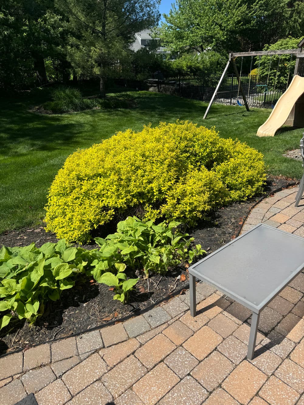 Gallery photos for Full Property Mulching and Bed Cleanup in Doylestown: Image #12