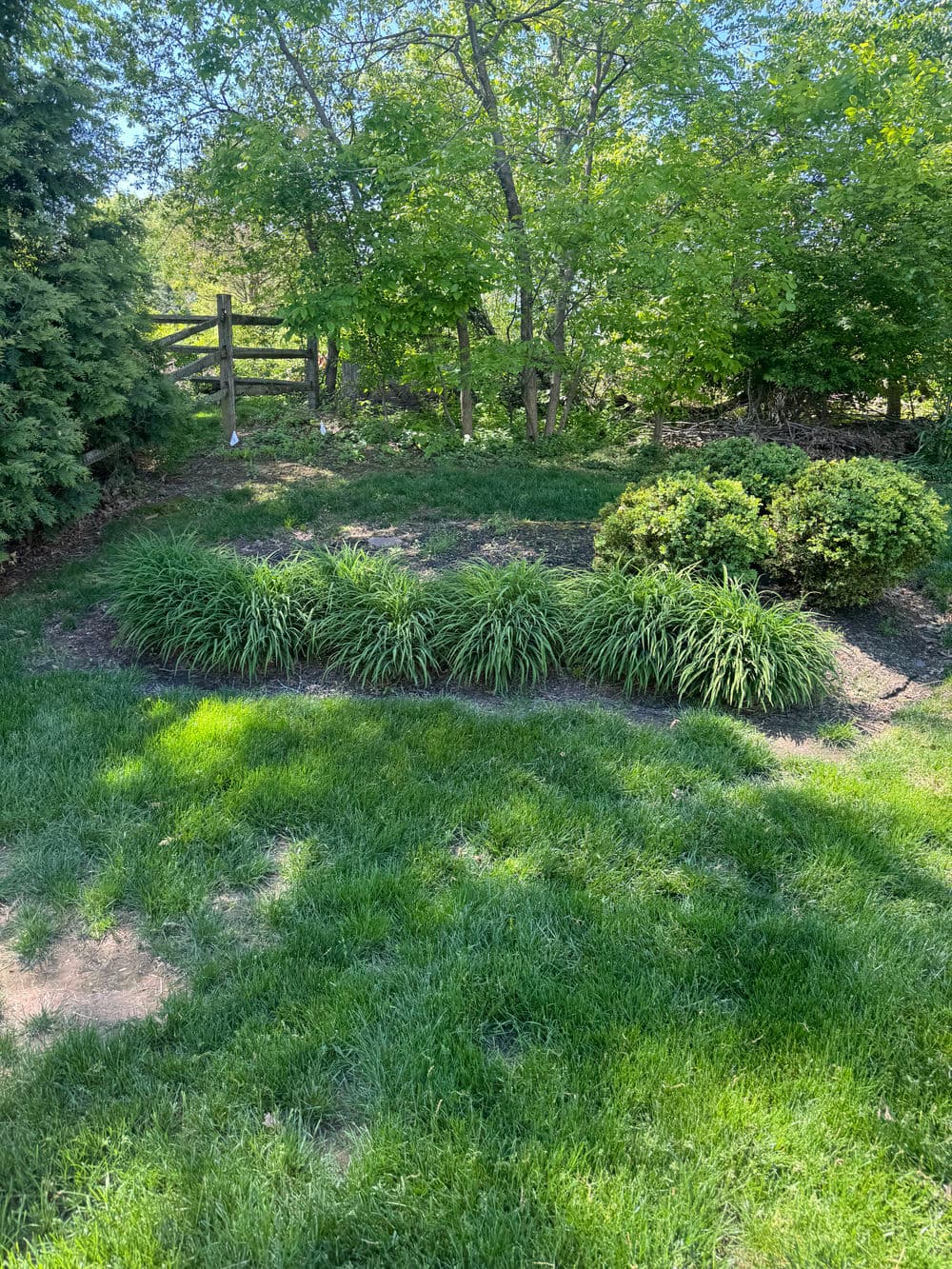 Gallery photos for Full Property Mulching and Bed Cleanup in Doylestown: Image #10