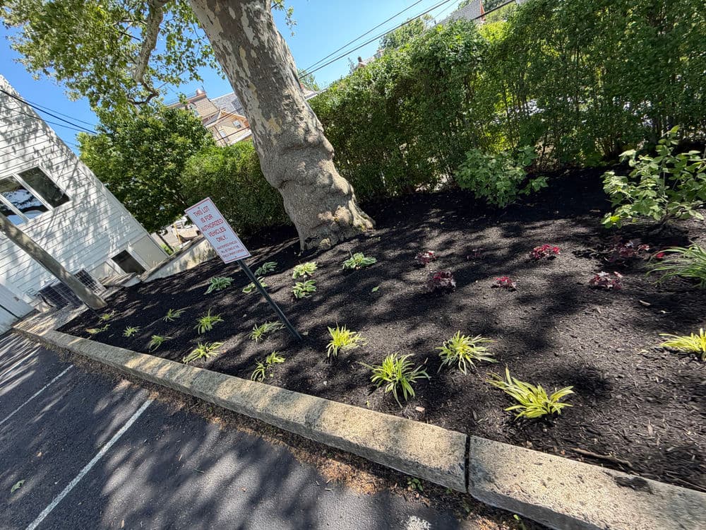 Gallery photos for Landscape Bed Cleanup and Fresh Mulch Install in Doylestown: Image #3
