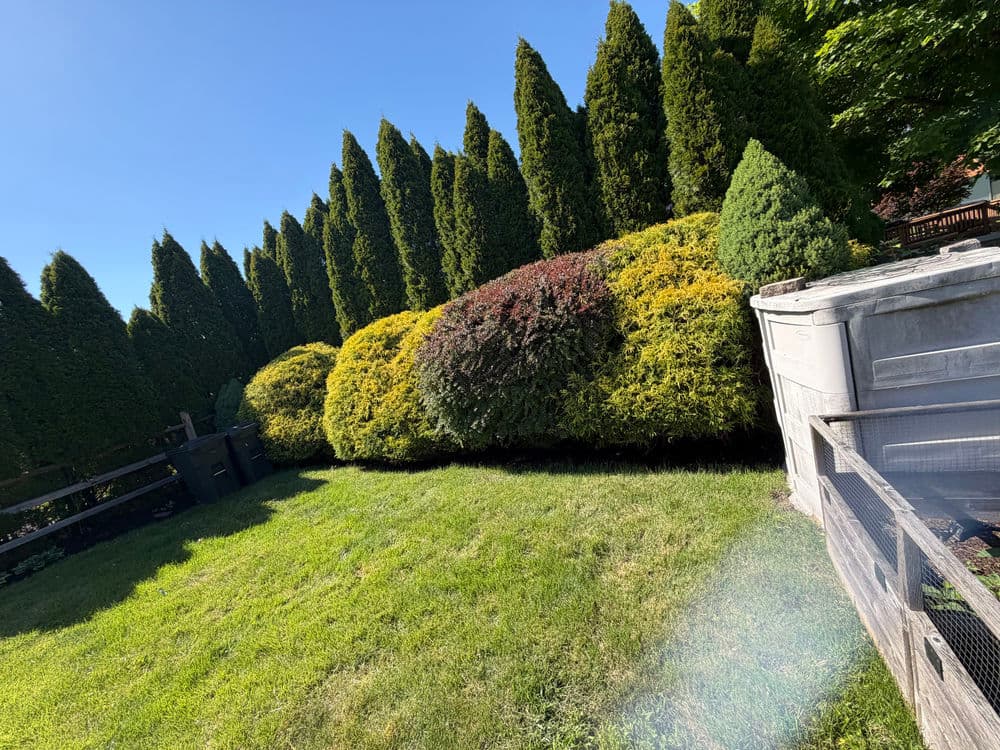 Gallery photos for 🌿 Landscape Maintenance in Southampton, PA: Image #3