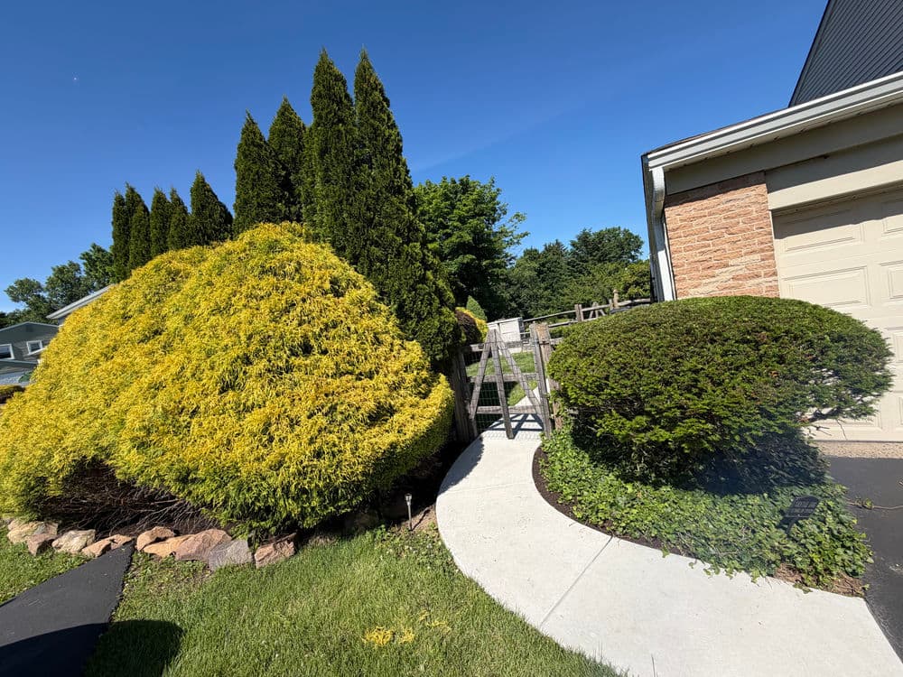 Gallery photos for 🌿 Landscape Maintenance in Southampton, PA: Image #2