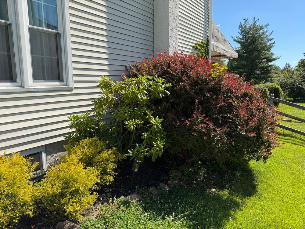 Gallery photos for 🌿 Landscape Maintenance in Southampton, PA: Image #6