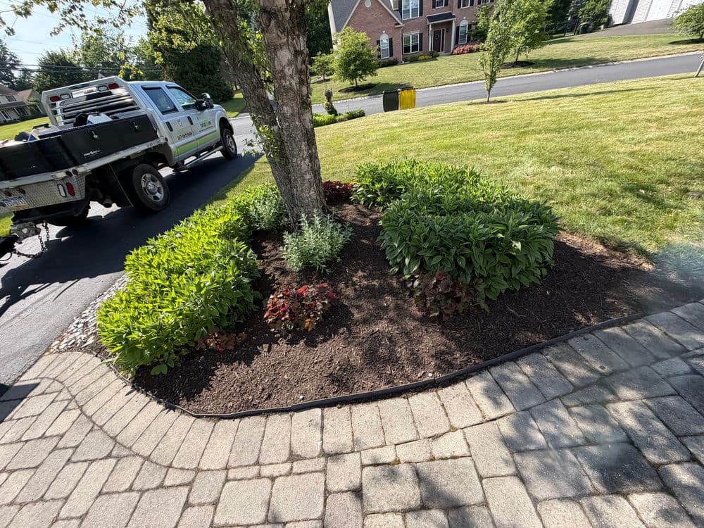 Gallery photos for Landscape Bed Maintenance & Shrub Trimming in Pipersville, PA: Image #3