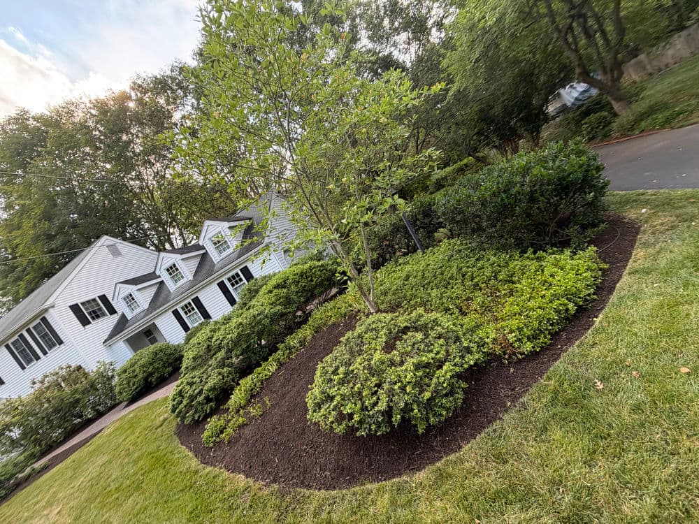 Gallery photos for Paver Walkway and Landscape Refresh in Doylestown: Image #1
