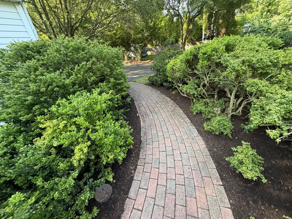 Gallery photos for Paver Walkway and Landscape Refresh in Doylestown: Image #4