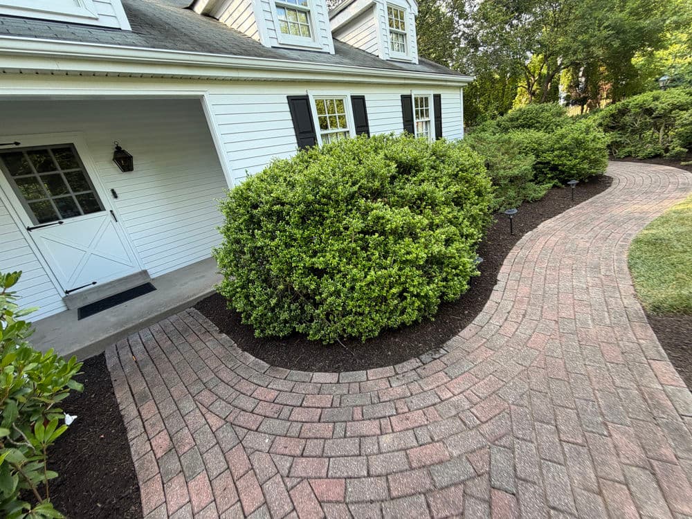Gallery photos for Paver Walkway and Landscape Refresh in Doylestown: Image #2