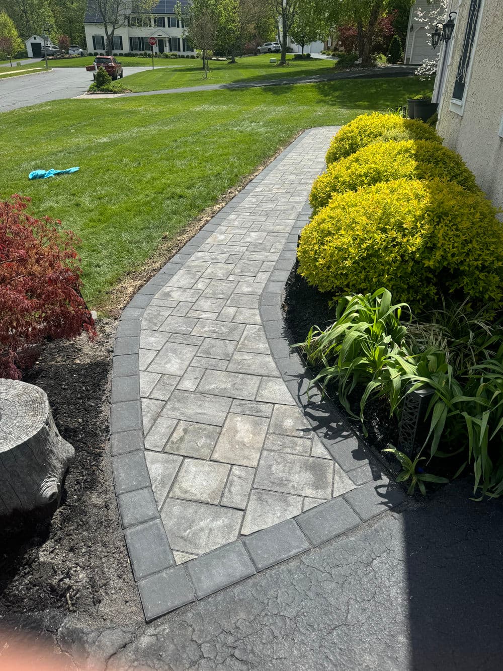 Gallery photos for ✨ From Overgrown to Outstanding: A Complete Front Entrance Transformation ✨: Image #1