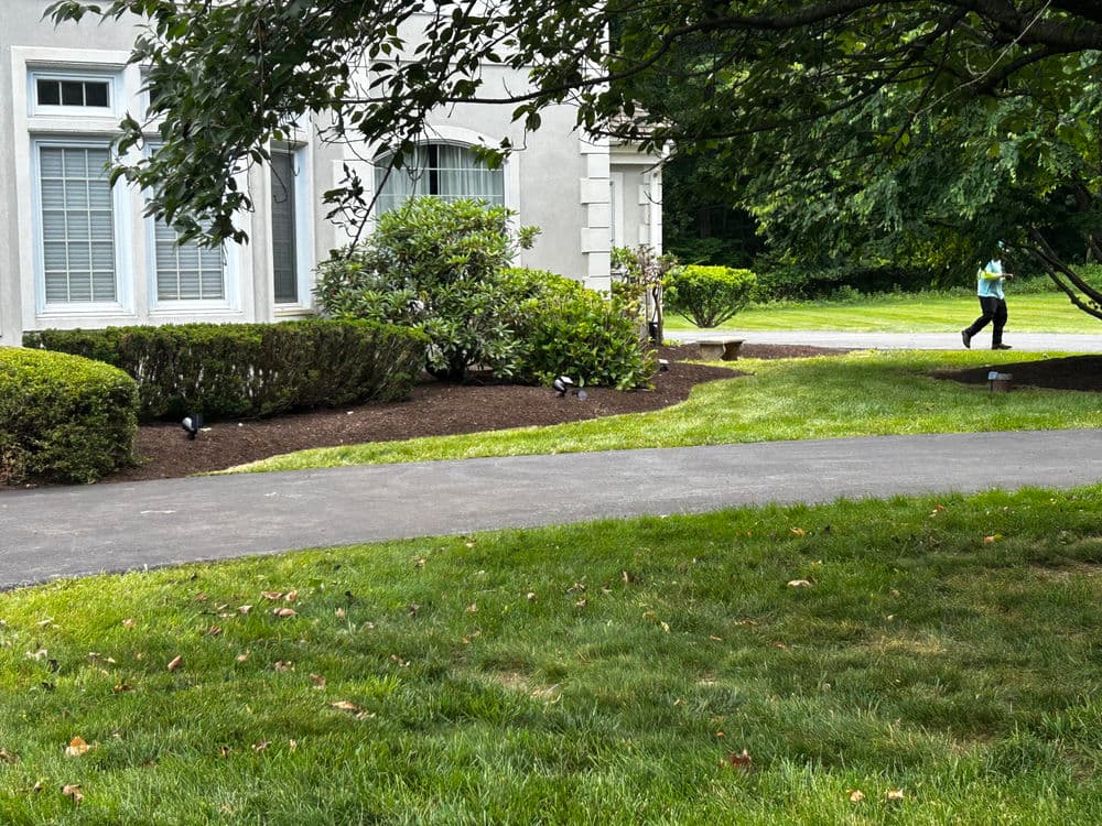 Gallery photos for Full-Property Shrub Trimming and Mulch Refresh in Perkasie PA: Image #5