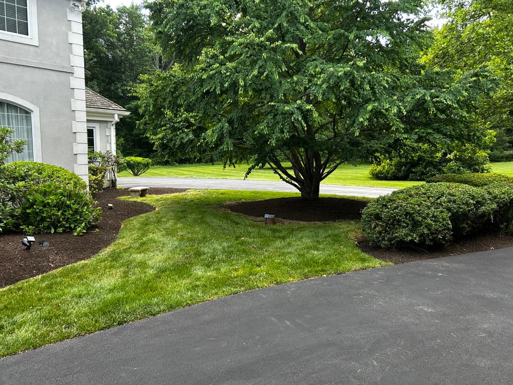 Gallery photos for Full-Property Shrub Trimming and Mulch Refresh in Perkasie PA: Image #6