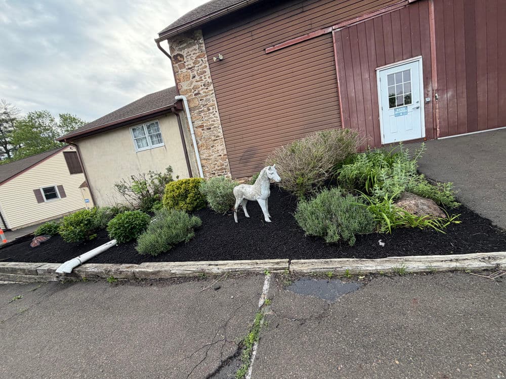 Gallery photos for Mulch Installation and Bed Cleanup Across Doylestown PA Properties: Image #6
