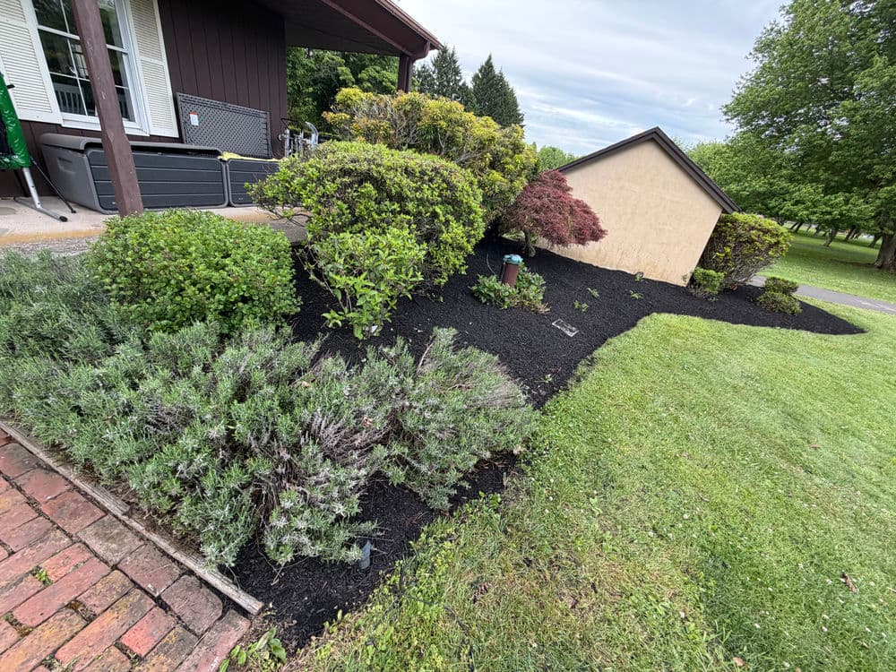Gallery photos for Mulch Installation and Bed Cleanup Across Doylestown PA Properties: Image #1