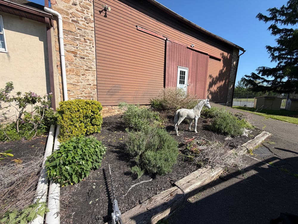 Gallery photos for Mulch Installation and Bed Cleanup Across Doylestown PA Properties: Image #5
