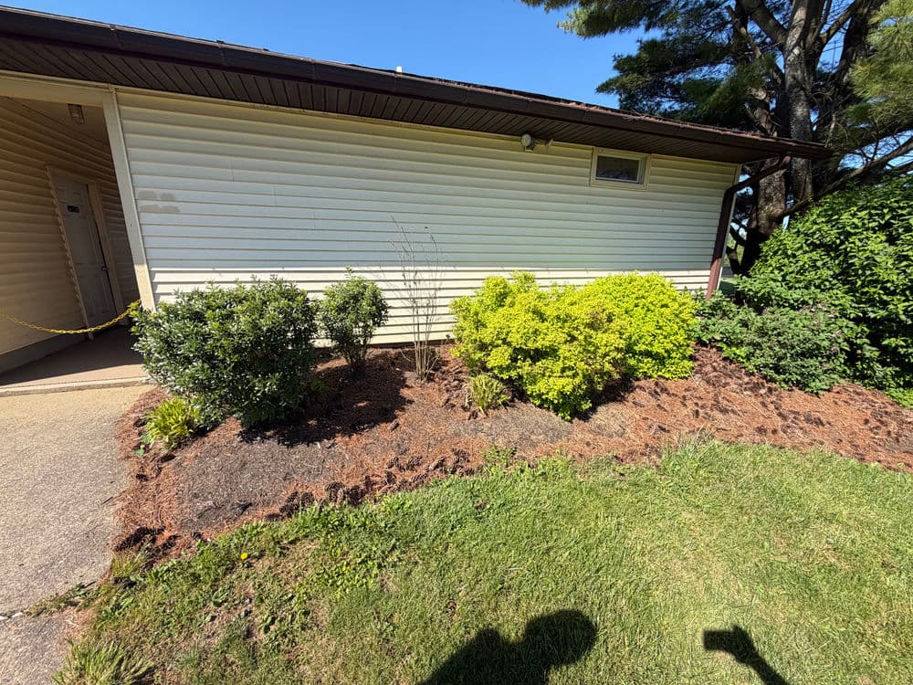 Gallery photos for Mulch Installation and Bed Cleanup Across Doylestown PA Properties: Image #7