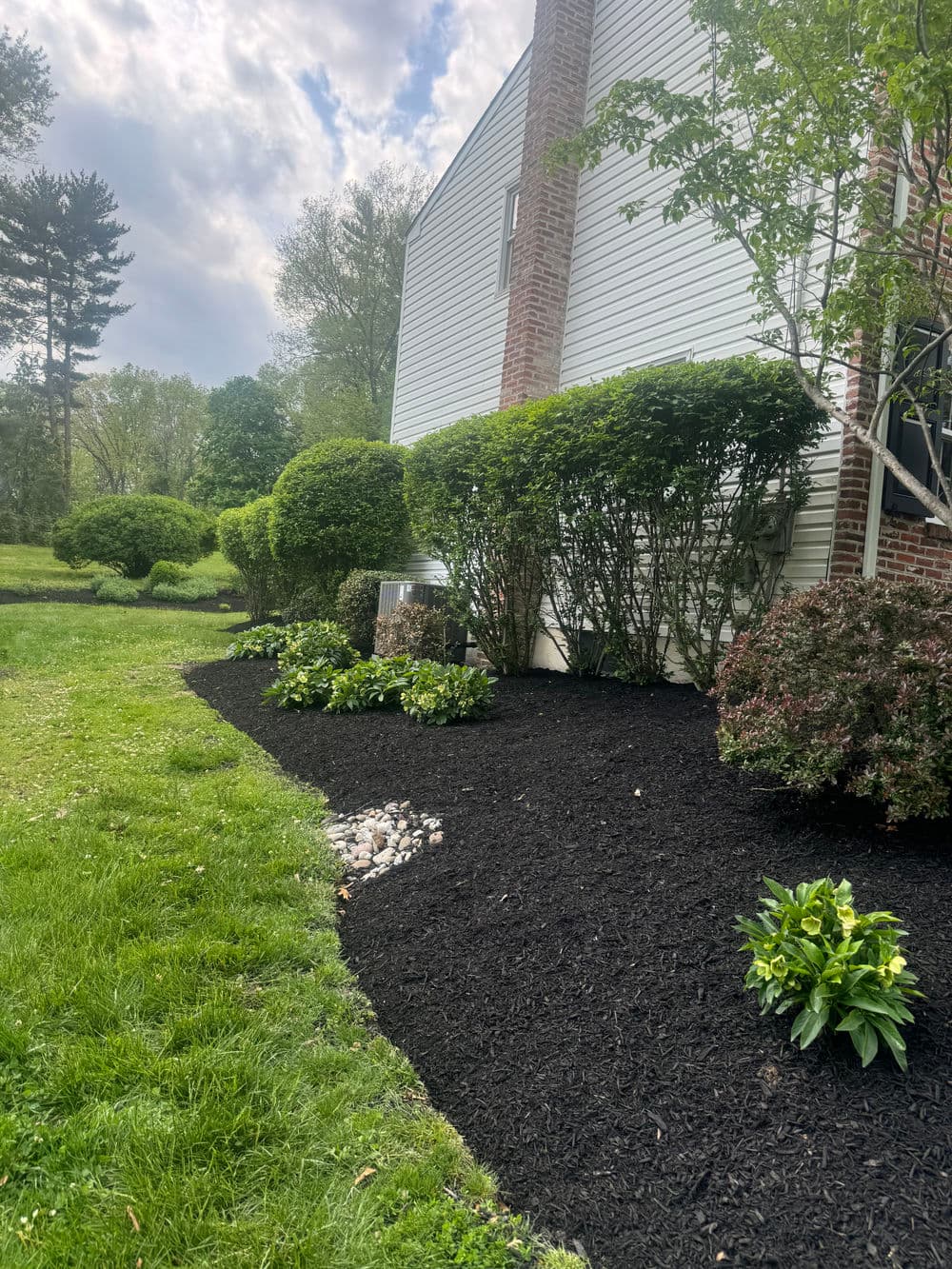 Gallery photos for Spring Clean Up and Fresh Mulch in Doylestown PA: Image #8