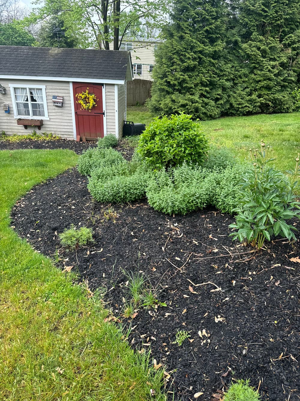 Gallery photos for Spring Clean Up and Fresh Mulch in Doylestown PA: Image #1