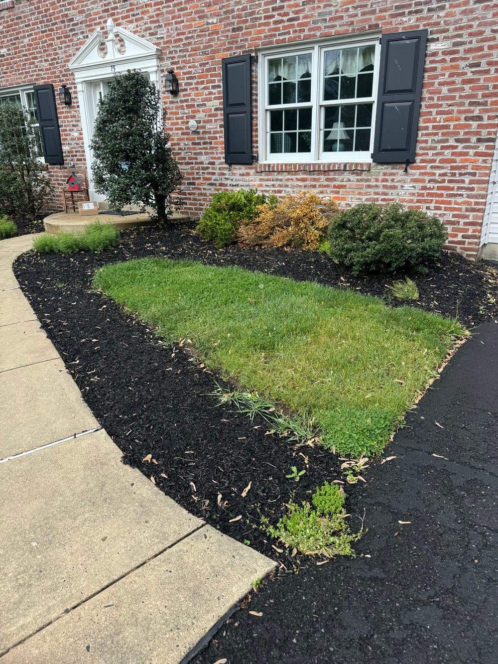 Gallery photos for Spring Clean Up and Fresh Mulch in Doylestown PA: Image #3