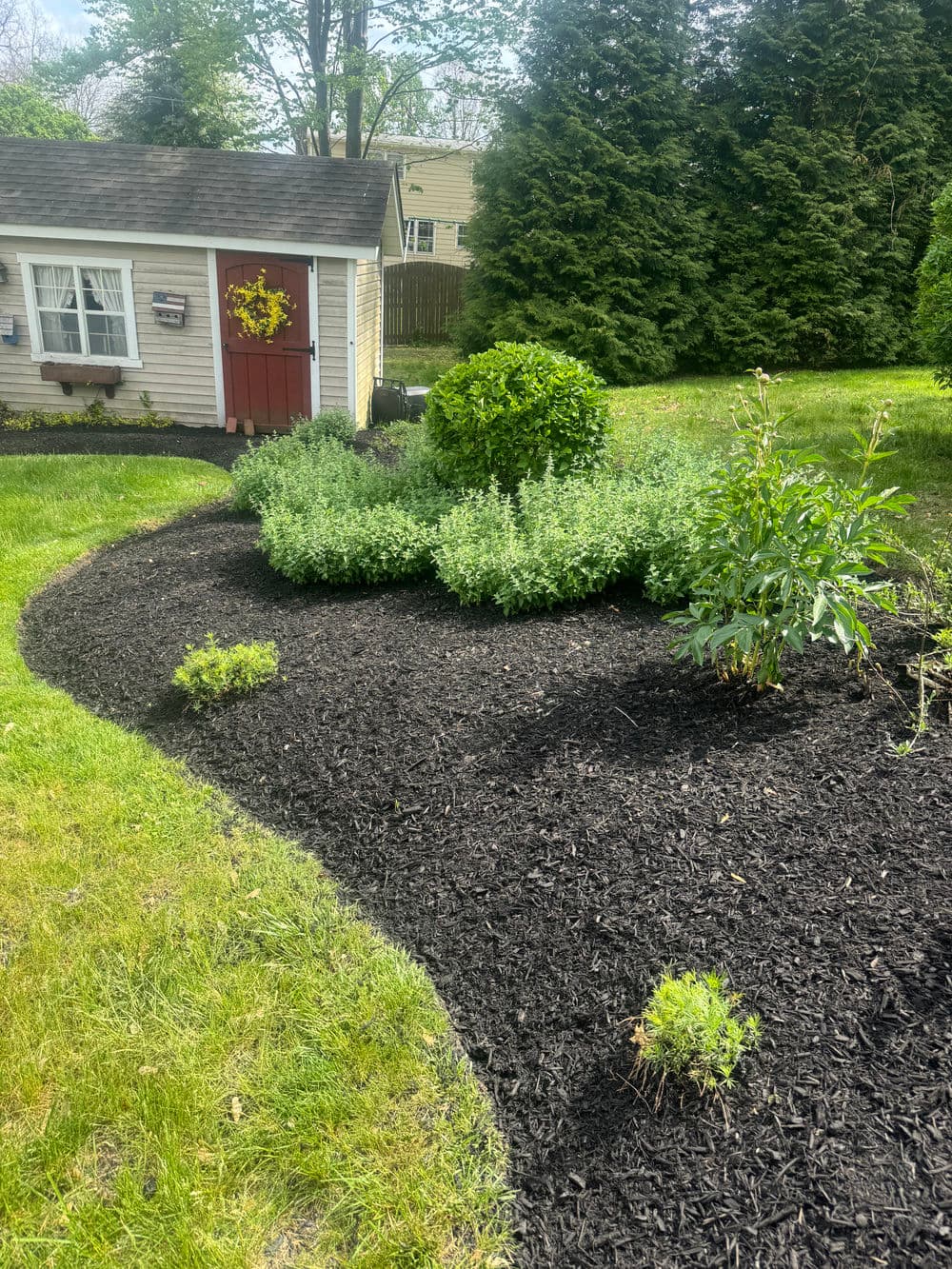 Gallery photos for Spring Clean Up and Fresh Mulch in Doylestown PA: Image #2